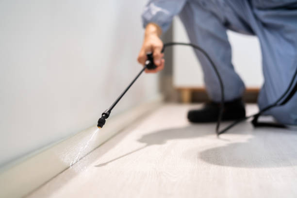 Licensed Pest Control service in Hampton, MD - Show Me Pest Control