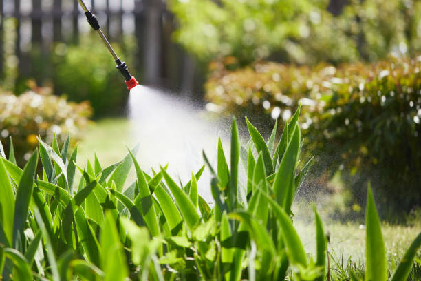 Tamper-Resistant Bait Stations for Rodents in Hampton